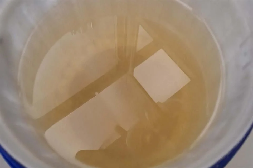 Agua llega ¡con larvas! al sur de Guadalajara