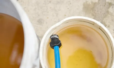 Tras meses, El Fortín recibió agua…¡pero sucia!