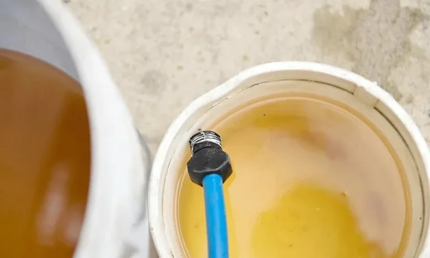 Tras meses, El Fortín recibió agua…¡pero sucia!