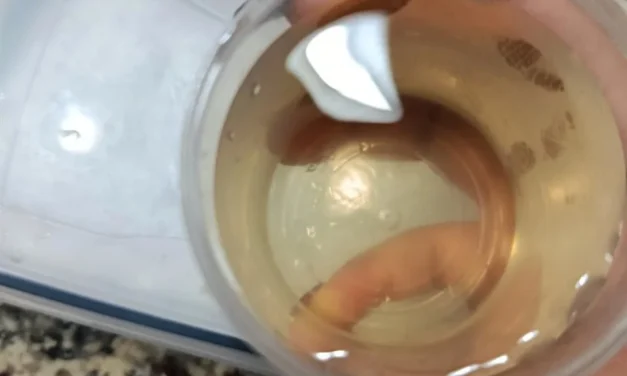 Ni las escuelas se salvan de recibir agua sucia