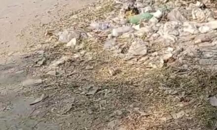 Vecinos denuncian abandono y acumulación de basura en parque de Las Juntas