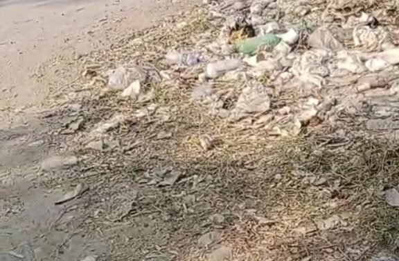 Vecinos denuncian abandono y acumulación de basura en parque de Las Juntas