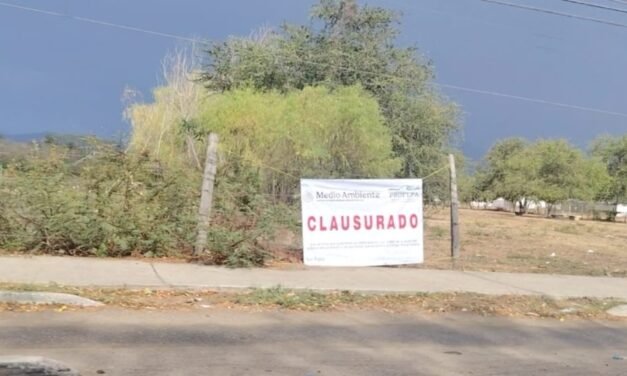 Profepa clausura terreno sobre avenida México por afectación a hábitat protegido en Puerto Vallarta