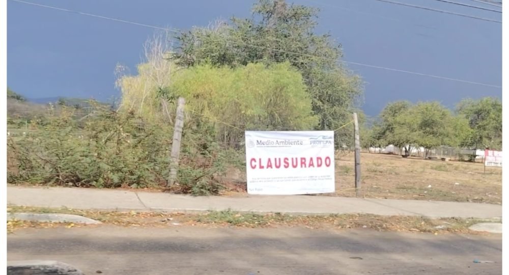 Profepa clausura terreno sobre avenida México por afectación a hábitat protegido en Puerto Vallarta