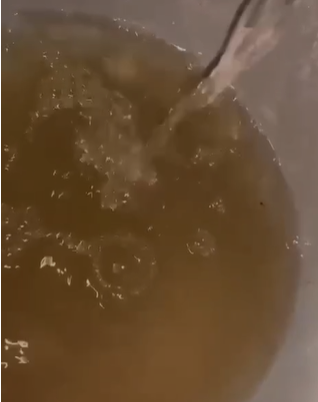 Vecinos de El Sauz exigen solución por agua contaminada