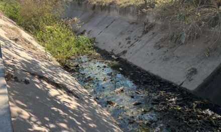 Vecinos denuncian presunta descarga de aguas residuales y acumulación de basura en canal de la colonia Santa María