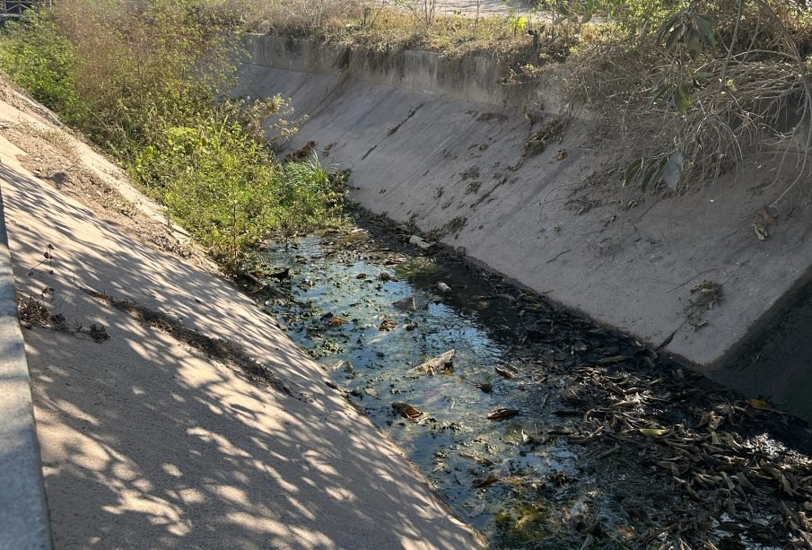 Vecinos denuncian presunta descarga de aguas residuales y acumulación de basura en canal de la colonia Santa María