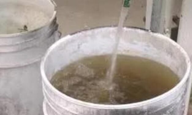 Gobierno de Jalisco atribuye problemas de calidad del agua a lluvias