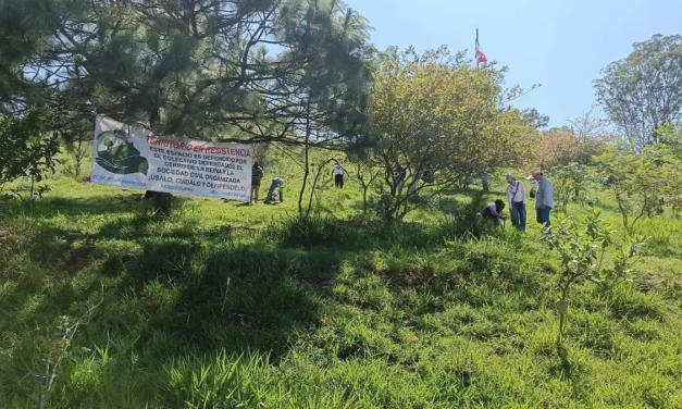 A once años de la defensa del Cerro de la Reina, colectivos denuncian nuevas presiones urbanísticas