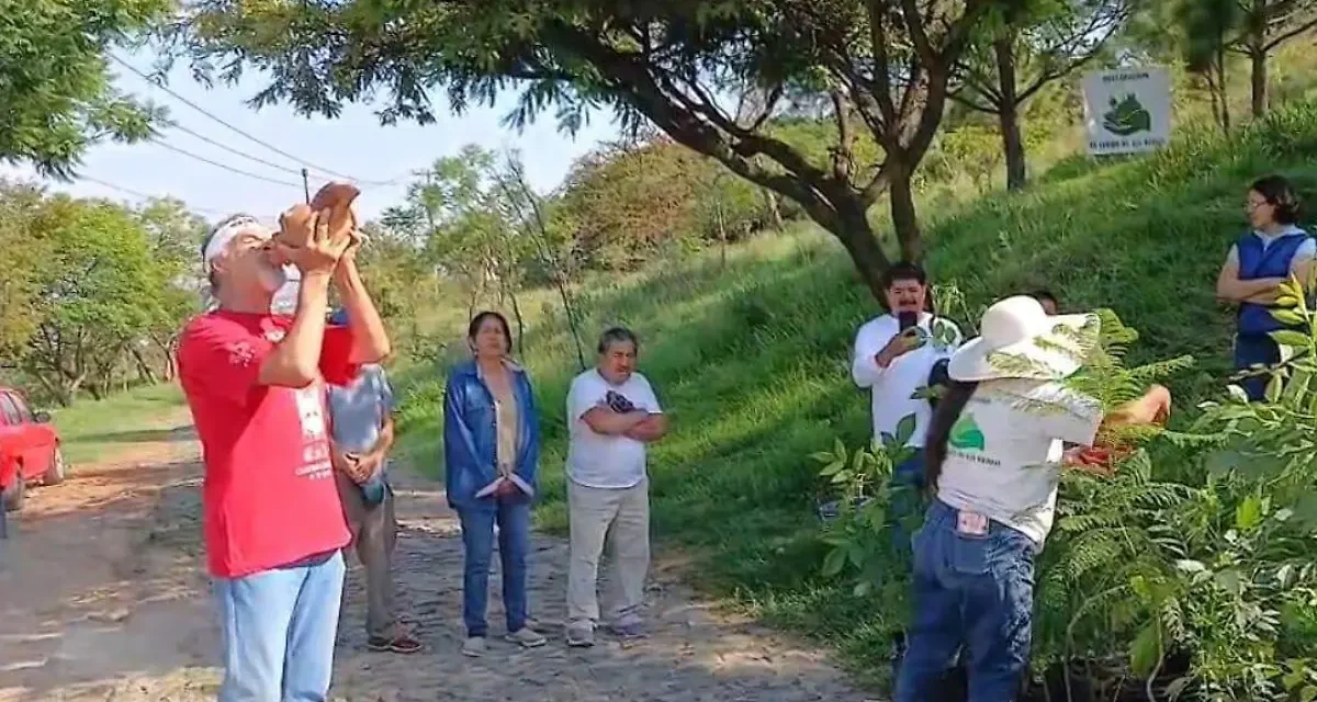 Reforestan el Cerro de la Reina con más de 130 árboles para fortalecer su ecosistema