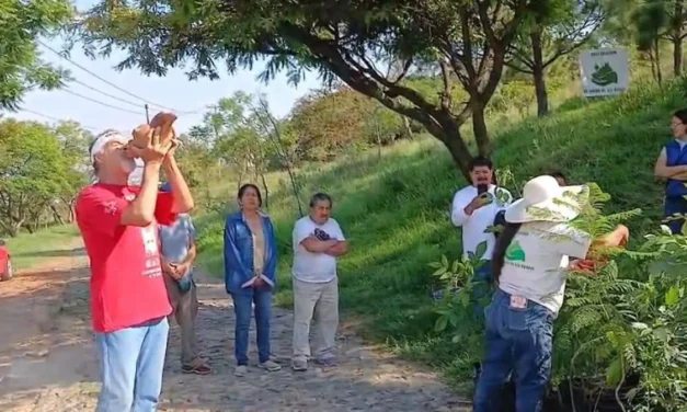Reforestan el Cerro de la Reina con más de 130 árboles para fortalecer su ecosistema