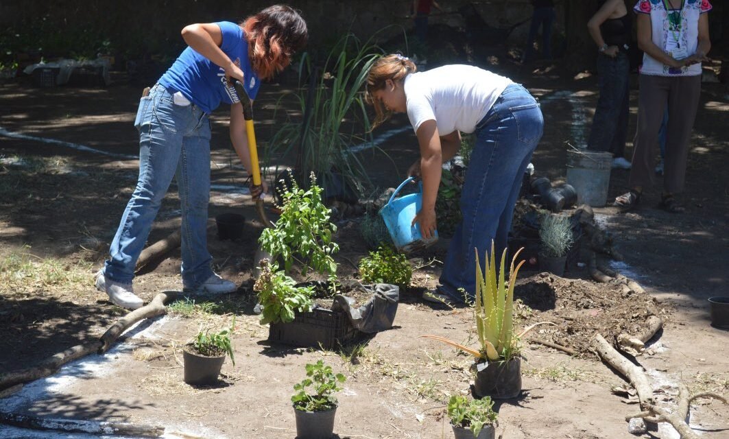 Jóvenes, agroecología y territorio: cuando la transformación nace fuera del aula