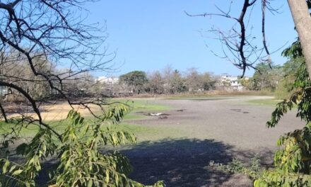 Laguna El Coapinole no está muriendo: expertos explican por qué la sequía es un proceso natural