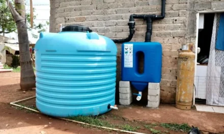 Nidos de Lluvia en Jalisco: Así puedes obtener gratis un sistema para captar agua en tu hogar