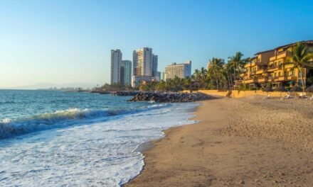 ¿Por qué aumentan los avistamientos de cocodrilos en Puerto Vallarta durante las lluvias? Expertos lo explican