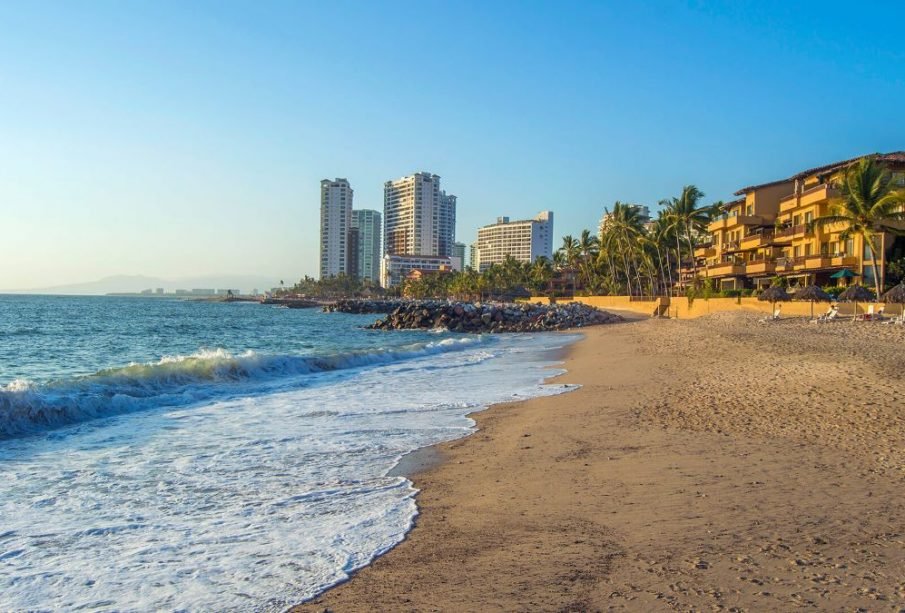 ¿Por qué aumentan los avistamientos de cocodrilos en Puerto Vallarta durante las lluvias? Expertos lo explican