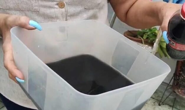 Ni cambio de mando ni mil MDP alcanzan para garantizar agua de calidad en la ZMG