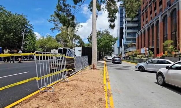 Indigna tala de árbol cerca de La Minerva previo al concierto de Maná