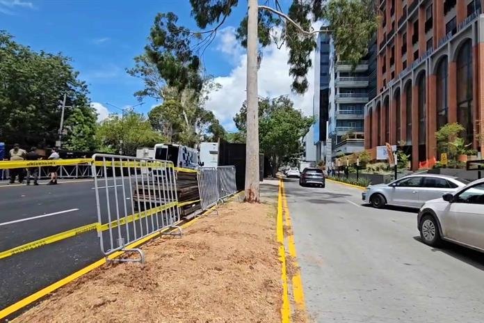 Indigna tala de árbol cerca de La Minerva previo al concierto de Maná