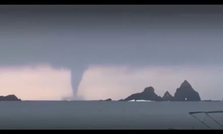 Captan en VIDEO impresionante ‘culebra de agua’ en la playa de Cuastecomates, Jalisco