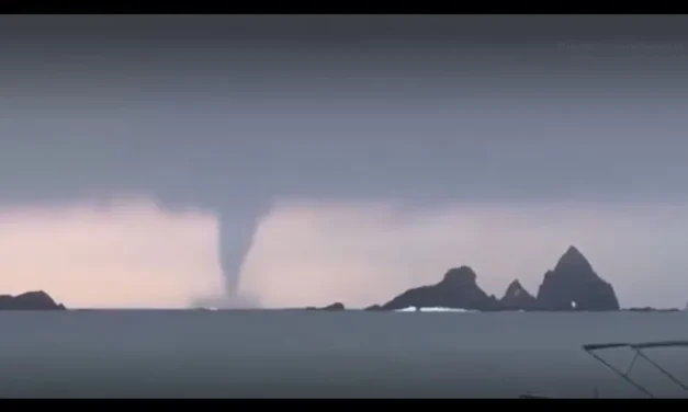 Captan en VIDEO impresionante ‘culebra de agua’ en la playa de Cuastecomates, Jalisco