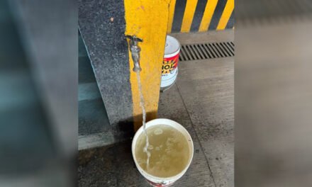Reportes ante Siapa suman 180 cada día