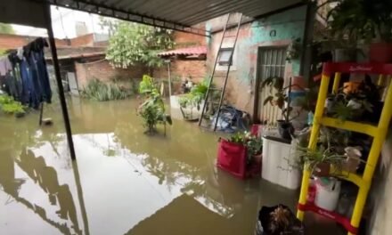 Se desborda río Blanco e inunda 22 viviendas en Tesistán
