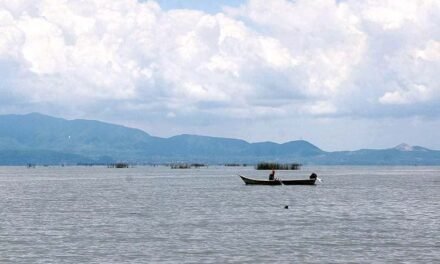 Chapala no sabe si trata aguas negras