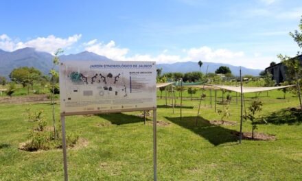 Impulsa CUValles conservación de la biodiversidad con Laboratorio jardín etnobiológico de Jalisco