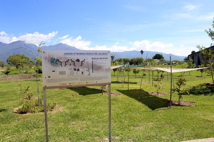 Impulsa CUValles conservación de la biodiversidad con Laboratorio jardín etnobiológico de Jalisco