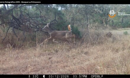 MONITOREO EN LA PRIMAVERA CONFIRMA RIQUEZA BIOLÓGICA Y REFUERZA ACCIONES DE CONSERVACIÓN