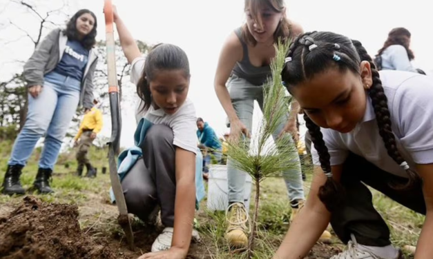Bosque La Primavera recibe más de 30 solicitudes para Jornadas de Reforestación 2026