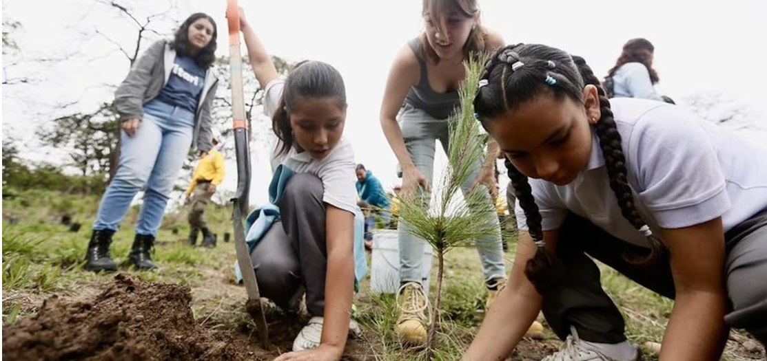 Bosque La Primavera recibe más de 30 solicitudes para Jornadas de Reforestación 2026