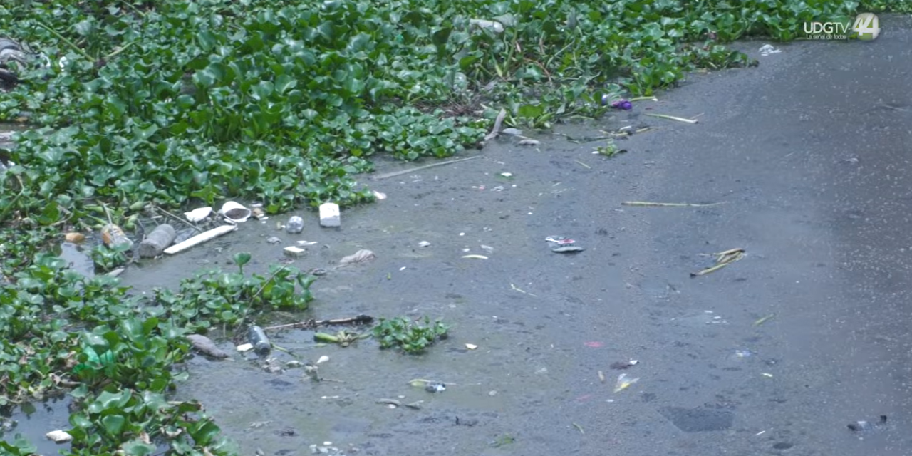 Crónica Del Día l Canal de Las Pintas, distribuidor de contaminantes