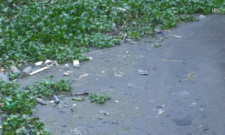 Crónica Del Día l Canal de Las Pintas, distribuidor de contaminantes