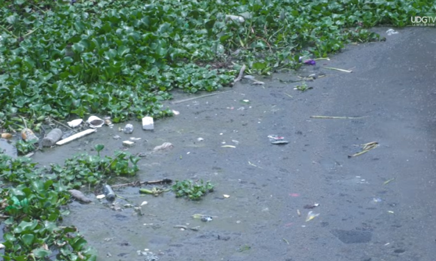 Crónica Del Día l Canal de Las Pintas, distribuidor de contaminantes
