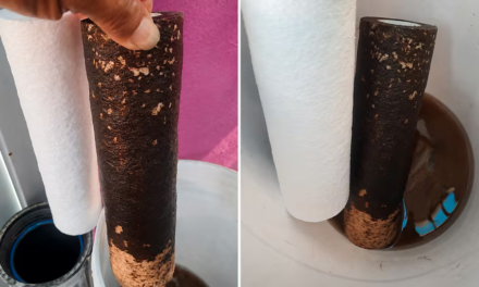 Exhibe filtro lleno de lodo la crisis del agua en Guadalajara
