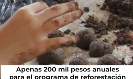 Crónica del Día l La ilusión de reforestar desde el aire