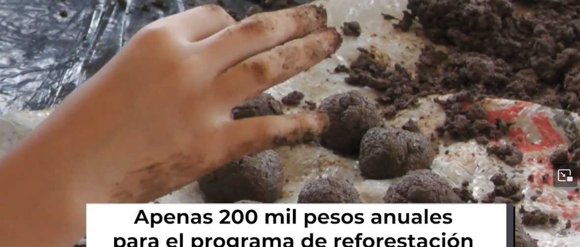 Crónica del Día l La ilusión de reforestar desde el aire