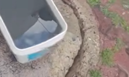 Laboratorio de Coprisjal sí encontró coliformes fecales en el agua del SIAPA