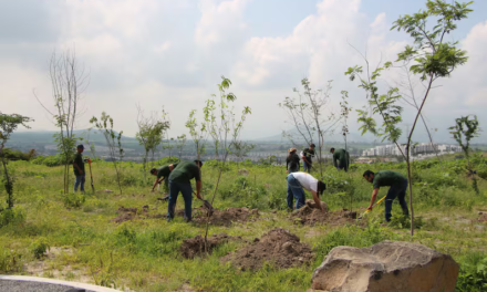 Avanza reforestación del Bosque Urbano de Tlajomulco; plantan 200 árboles