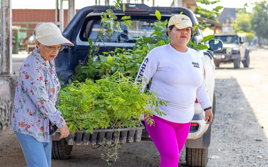 Cihuatlán arranca temporada de reforestación