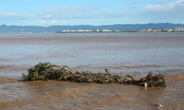 Tiene Puerto Vallarta una playa contaminada