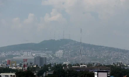 Reforestarán 55 hectáreas en el Cerro del Cuatro