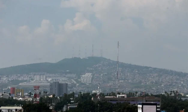 Reforestarán 55 hectáreas en el Cerro del Cuatro
