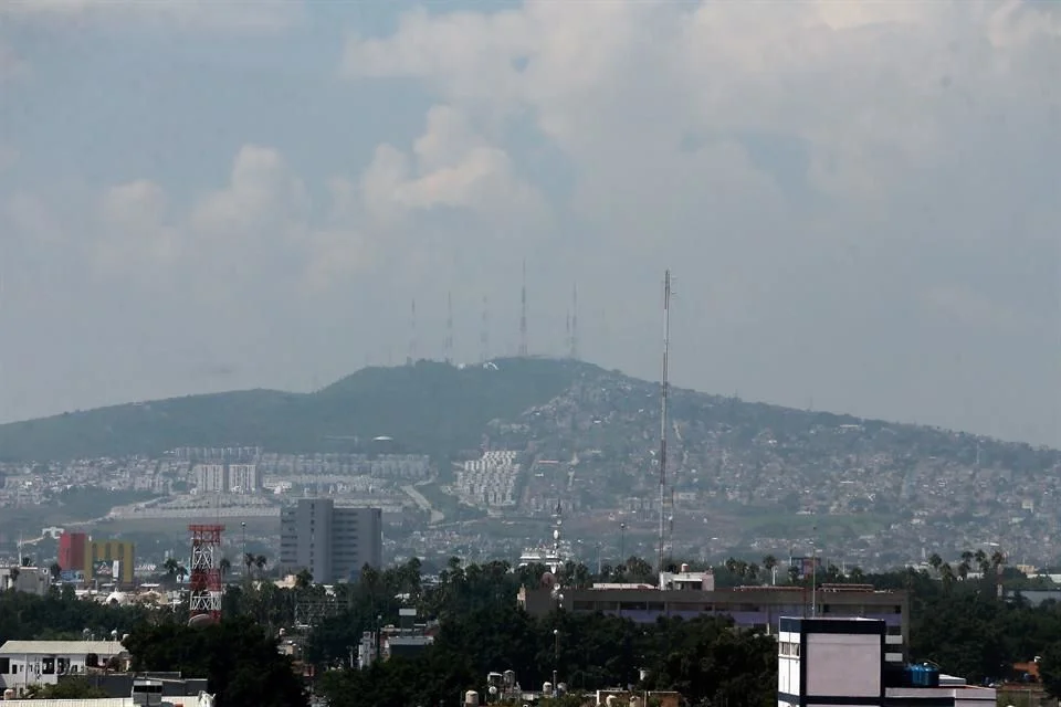 Reforestarán 55 hectáreas en el Cerro del Cuatro