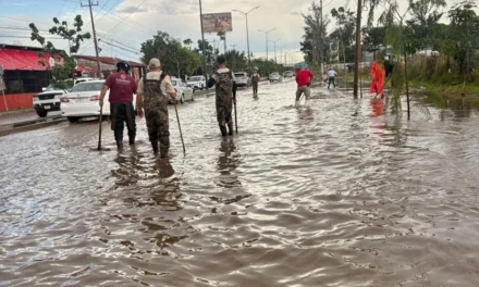 ‘Ahoga’ basura a Camino Real a Colima