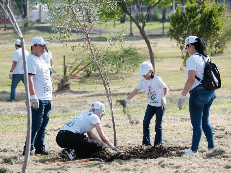 Arranca programa de reforestación para bosques urbanos