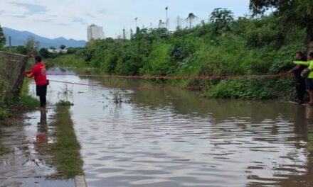 Reportan cocodrilo en Mojoneras; Protección Civil acordona la calle Guanajuato