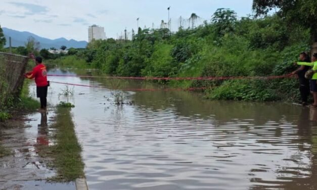 Reportan cocodrilo en Mojoneras; Protección Civil acordona la calle Guanajuato